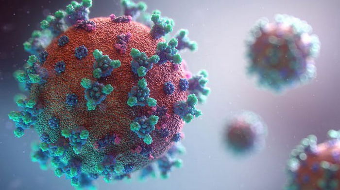 В мире за неделю увеличилось количество смертей от коронавируса