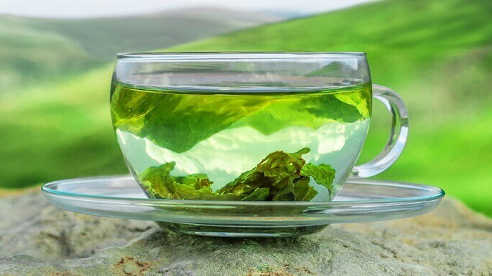 Зеленый чай может стать ключом к снижению устойчивости к антибиотикам