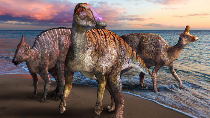 В Японии нашли окаменелости нового вида утконосого динозавра