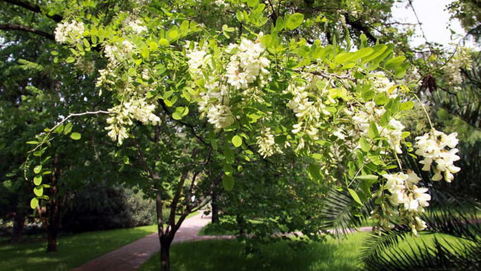 Праздники 20 мая 2021: история, запреты, традиции