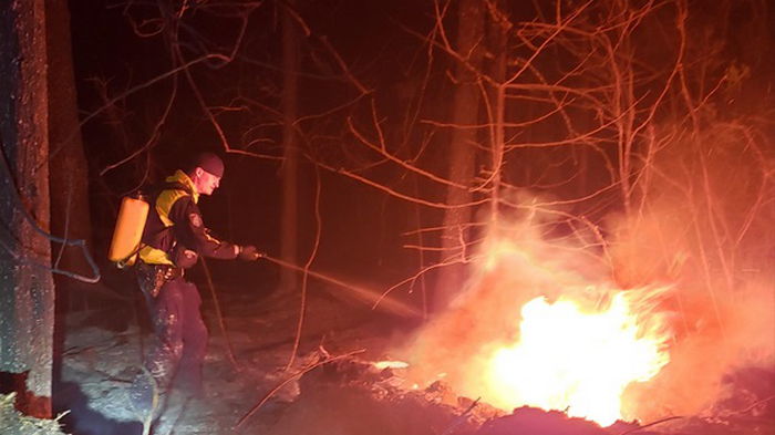 В Канаде бушуют лесные пожары (видео)
