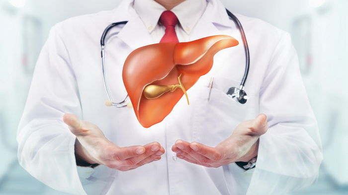 Лучшие продукты для детоксикации вашей печени