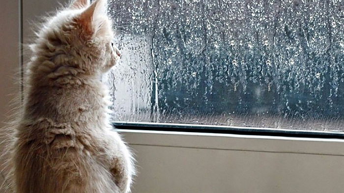 Гороскоп на неделю: для всех знаков зодиака