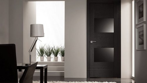 темные двери в интерьере