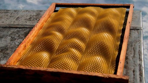 Вощина для пчел