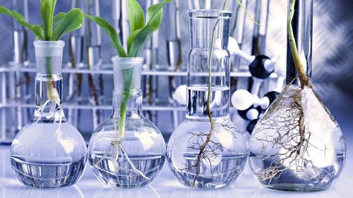 Как найти эффективные регуляторы роста растений?