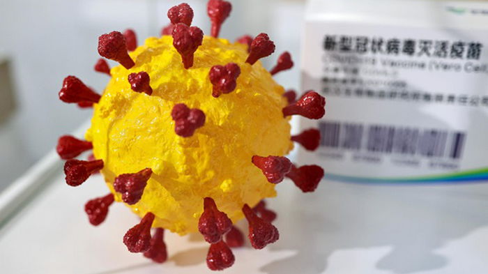 Ученые нашли эпидемию коронавируса 20 тысяч лет назад