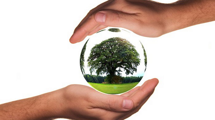 В ООН представили новый план спасения планеты