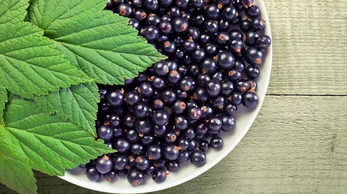 Праздники 14 июля 2021: именины, традиции, приметы