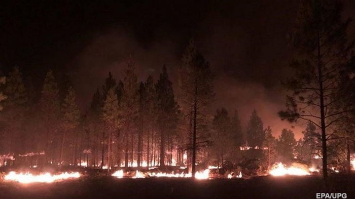 В США бушуют масштабные лесные пожары (видео)