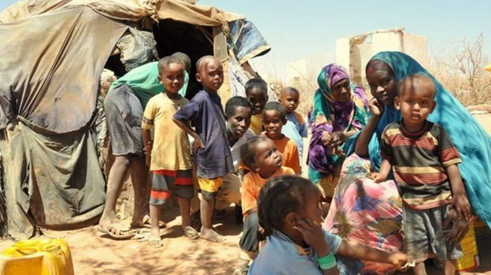 В мире голодают 800 миллионов человек - ООН