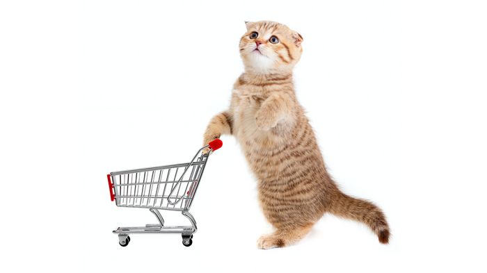 Для чего необходимо приобретать корм для животных в онлайн зоомагазине