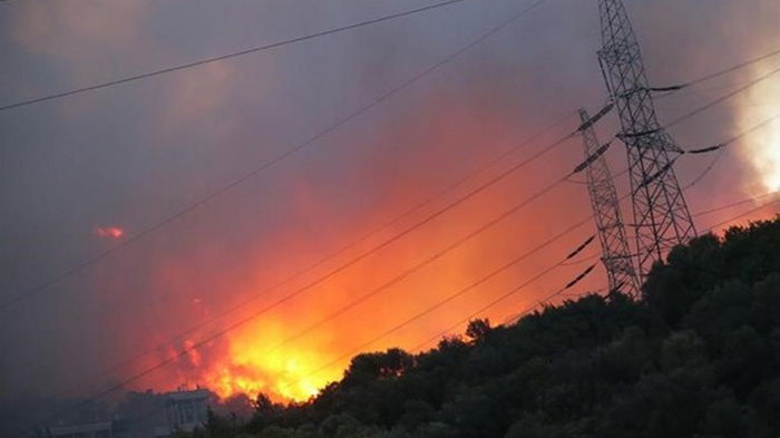 Лесной пожар в Турции добрался до теплоэлектростанции (видео)