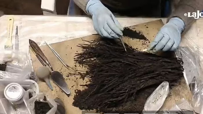 В Мексике нашли букеты, которым 1800 лет