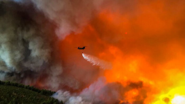 Лесные пожары в Греции стали самой большой экологической катастрофой страны за последние десятилетия — премьер