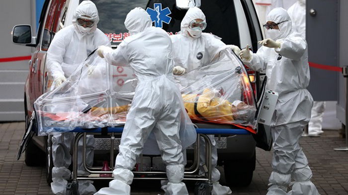 Новая группа ВОЗ выяснит происхождение COVID-19