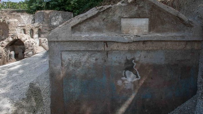 В Помпеях нашли уникальную гробницу с останками (фото)