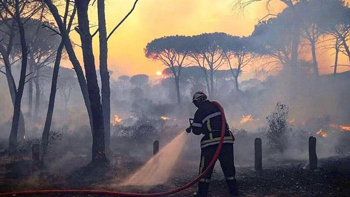 Пожары во Франции: есть погибшие и пострадавшие (видео)