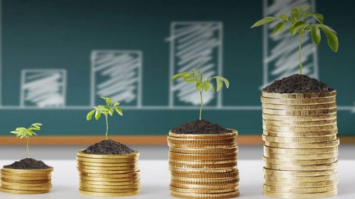 Дополнительный заработок: инвестиции при помощи специалистов CS Group