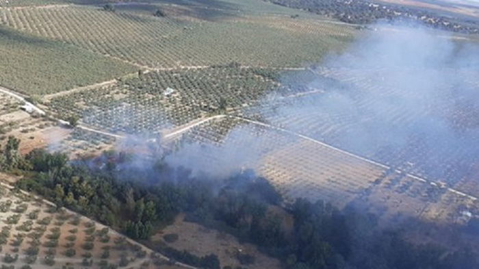 В Испании эвакуировали более 400 человек из-за лесного пожара