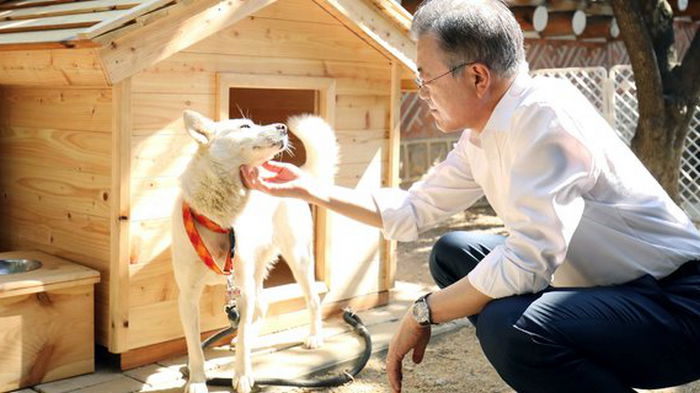 Президент Южной Кореи предложил обсудить запрет потребления в пищу собак