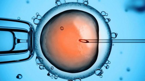 Сколько нужно готовиться к проведению ЭКО?