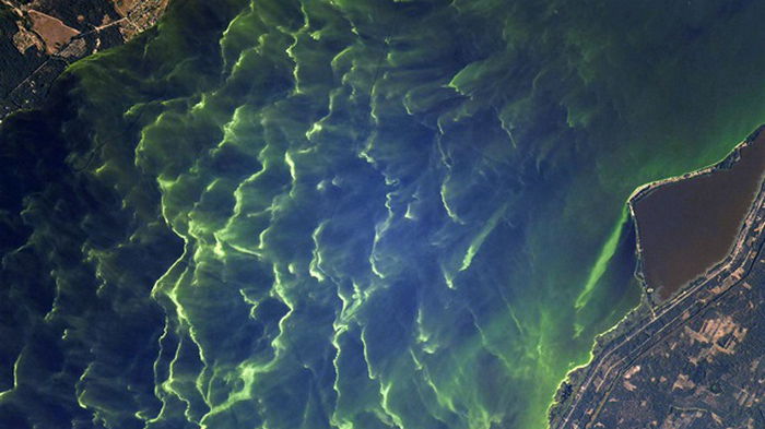 Осенний Киев показали на фото из космоса