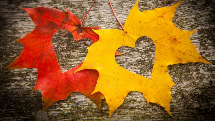 Гороскоп на неделю: для всех знаков зодиака