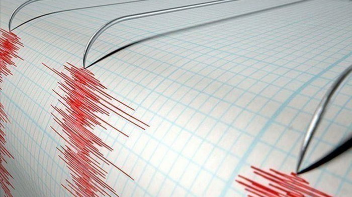 Ночью в Карпатах произошло землетрясение