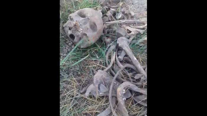 Кости человека нашли на кладбище для животных (видео)