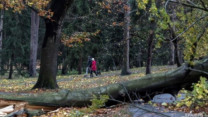 В Чехии ураган оставил без света 300 тысяч домов