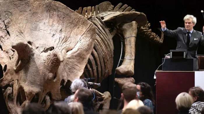 В Париже с молотка ушел трицератопс