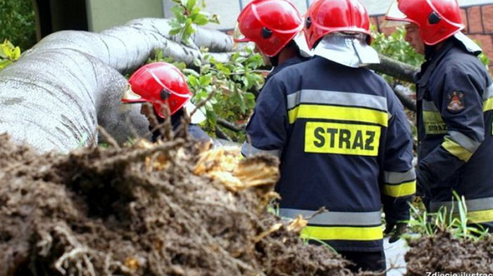 В Польше из-за урагана погиб украинец