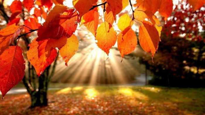 Праздники 24 октября 2021: интересные факты, традиции, что нельзя делать