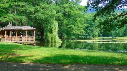 Как выбрать санаторий в Карпатах?