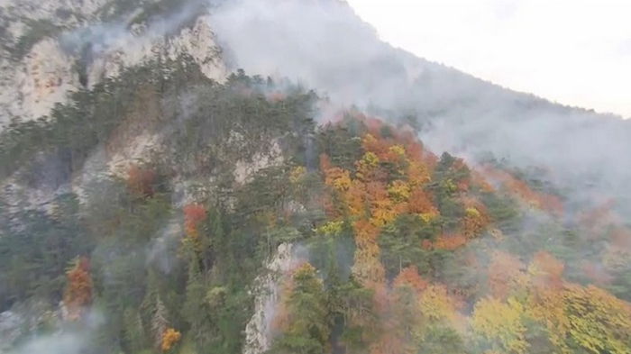 В австрийских Альпах бушует масштабный лесной пожар (видео)