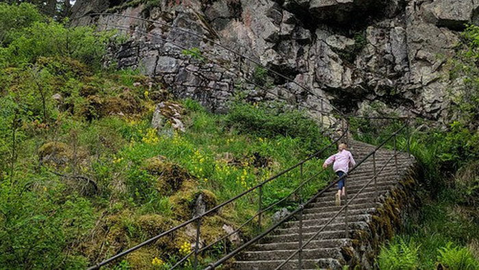 Врачи объяснили, почему опасно подниматься по лестнице бегом