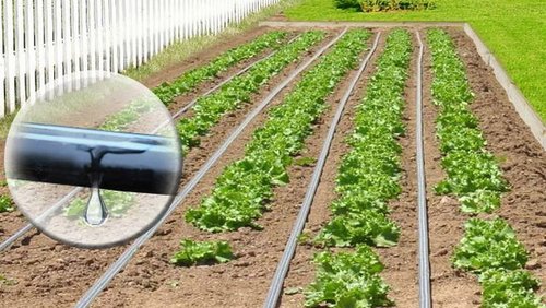 система полива для дачи