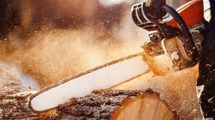 Как работает и из чего состоит цепная пила