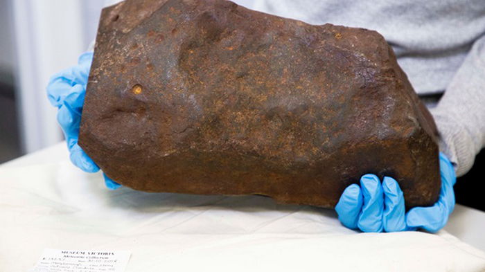 Австралиец нашел метеорит возрастом 4,6 млрд лет (фото)