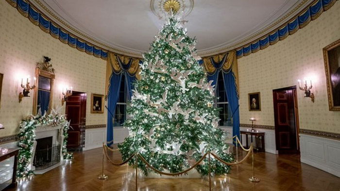 В Белом доме установили 41 рождественскую ель (видео)