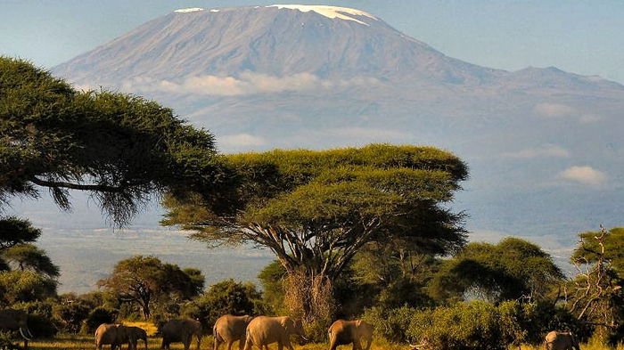 В Кении обнаружены следы нового вида древних людей