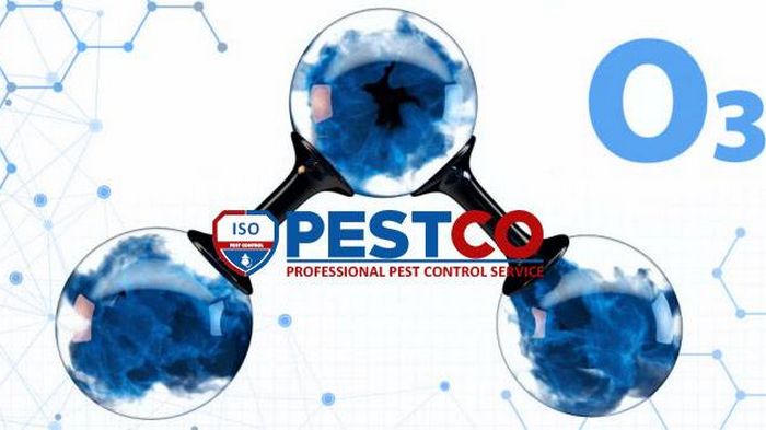 Служба дезинфекции PESTCO избавит от проблем