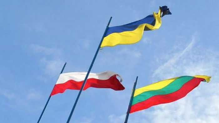 Украину посетят президенты Литвы и Польши