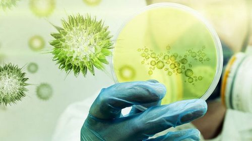 Служба дезинфекции PESTCO избавит от проблем