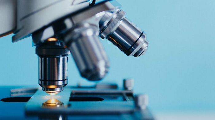 Японские ученые разработали вакцину для уничтожения клеток старения