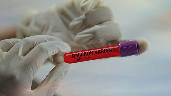 Омикрон может стать доминирующим в Европе к середине января