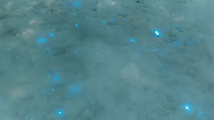 Впервые за 80 лет на севере России увидели необычное природное явление (фото)