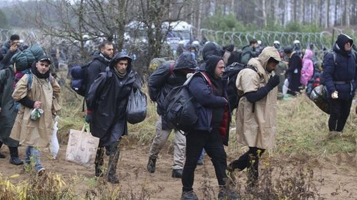 Около 40 беженцев пытались прорваться из Беларуси в Польшу, бросая камни в патрульных