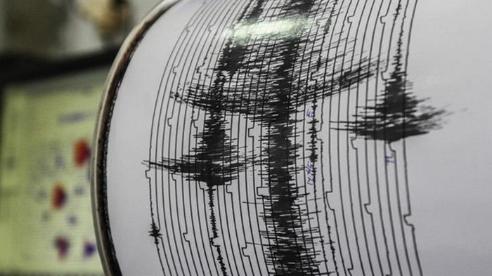 Возле побережья Японии произошло мощное землетрясение